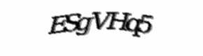 Security check image, please type the characters shown